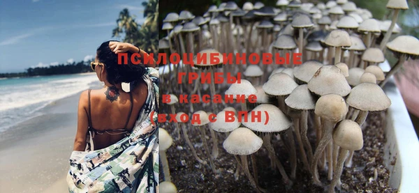 не бодяженный Балахна